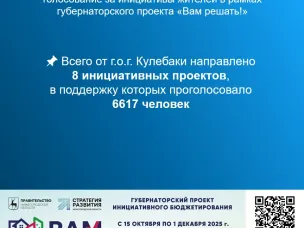 Вам решать. Всего от г.о.г. Кулебаки направлено 8 инициативных проектов, в поддержку которых проголосовало 6617 человек